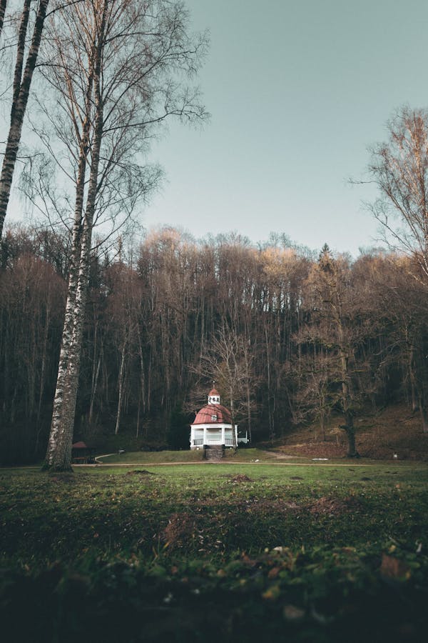 اسلایدر  نشیمن کلاسیک